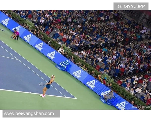 武汉网球队在世锦赛中的战术表现分析与总结